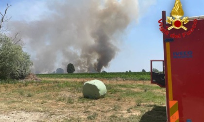 A fuoco un campo di grano, diverse squadre di Vigili del Fuoco al lavoro