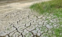 Siccità, firmato stato d'emergenza in Lombardia: "Utilizzate l'acqua al minimo indispensabile"