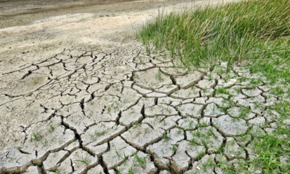 Nel Lodigiano 16 milioni di euro di danni a causa della siccità