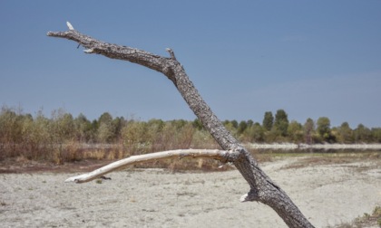 Caldo e siccità: in Lombardia riserve idriche ai minimi storici