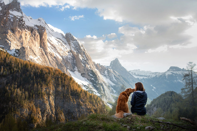 Estate e lunghe passeggiate, ecco di cosa ha bisogno il tuo cane