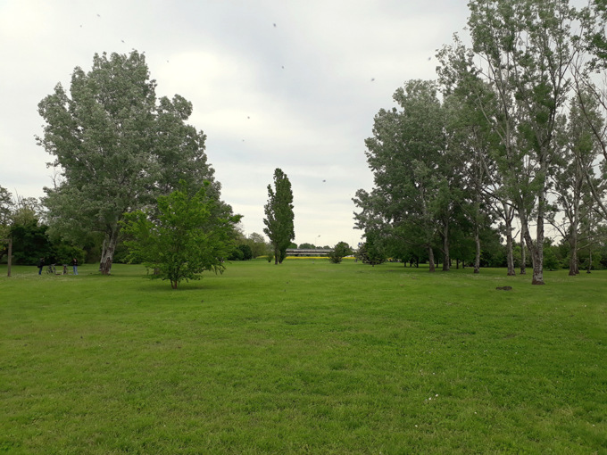 Più alberi e più verde: progetto per l’area Isolabella
