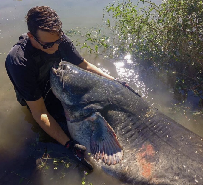 Giovane di Castiraga Vidardo pesca un siluro di cento chili, sfiorato il record italiano