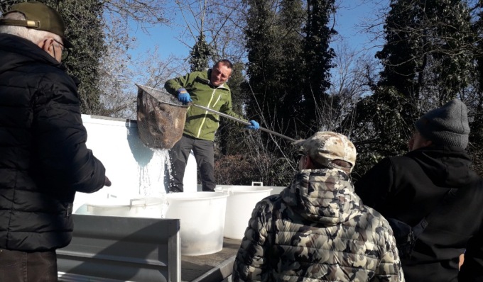 Ripopolamento acque fiume Adda: immessi tre quintali tra scardole, alborelle e persici reali