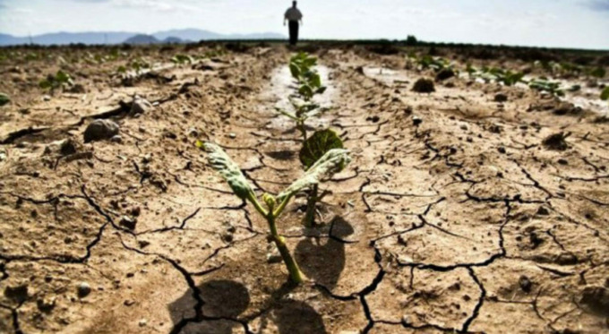 A Lodi un incontro sulla siccità, Borella di CIA: “Salvare le falde per salvare l’agricoltura”