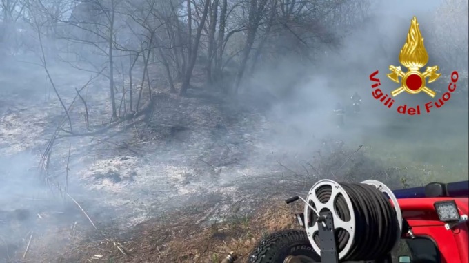 Spento l’incendio nel sottobosco: vigili del fuoco al lavoro per ore