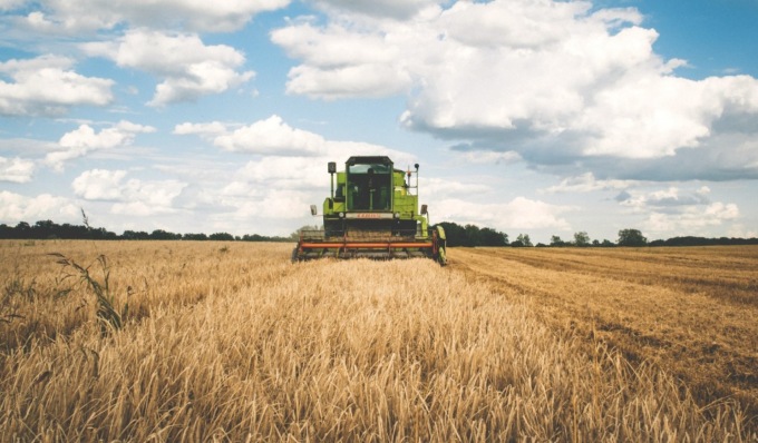 Furti e danni nelle aziende agricole, Confagricoltura: “Situazione preoccupante, servono più controlli”