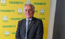 Pierluigi Nava confermato alla guida dei Senior Coldiretti di Milano, Lodi e Monza 