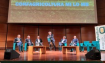 A Lodi il convegno di Confagricoltura sulle rinnovabili, intervento di Centinaio: "Cambiare approccio"