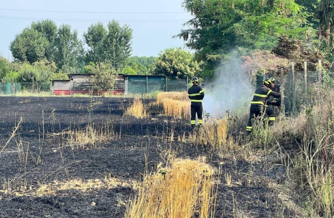 Campo di frumento a fuoco nel lodigiano, fondamentale l’intervento dei pompieri