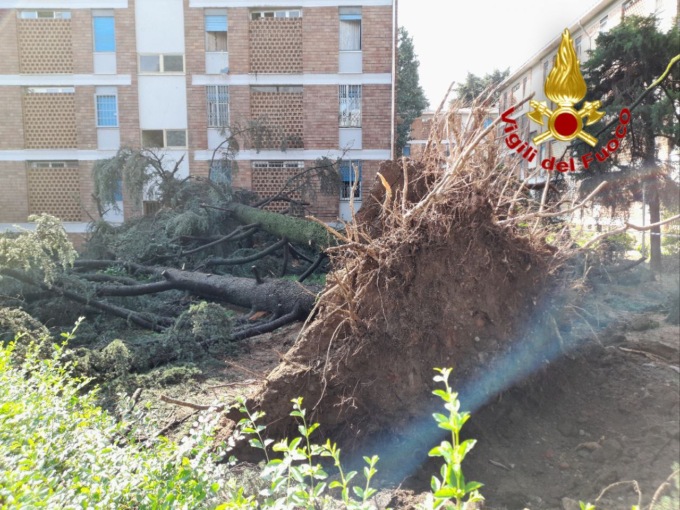 Maltempo nel Lodigiano: alberi sradicati, vento, nubifragi