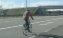 Folle ciclista pedala sulla A1 nel Lodigiano, poi fugge oltre il guardrail con la bici
