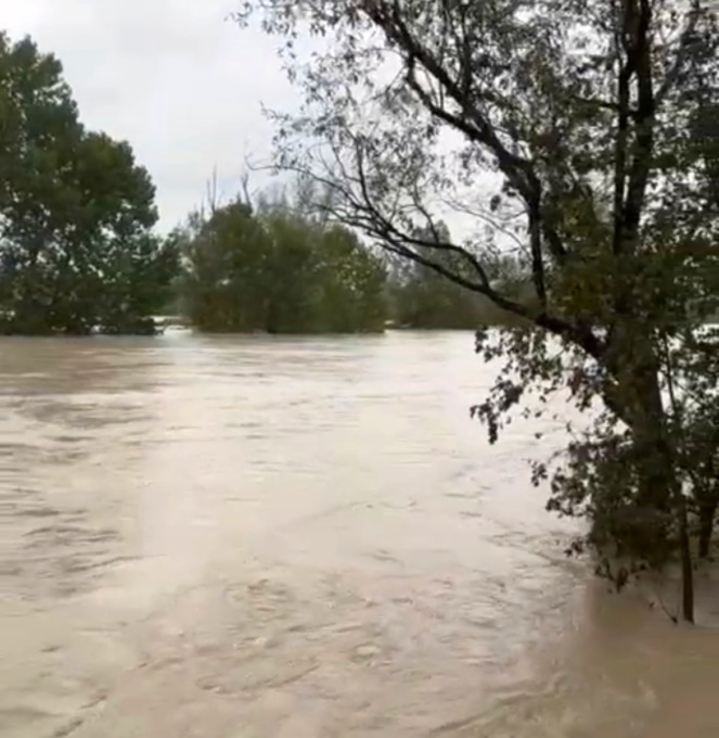 Cavenago e Turano, aziende agricole sott’acqua. Danni ingenti ai cereali invernali