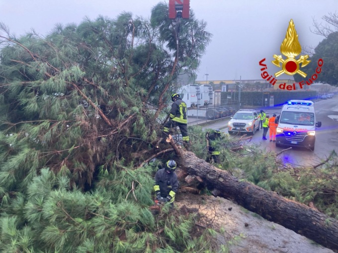 Camion urta un albero che cade su un auto, ferito il conducente