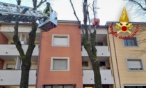 Albero pericolante si appoggia su un condominio e rischia di cadere in strada