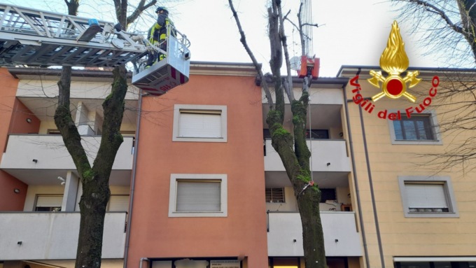 Albero pericolante si appoggia su un condominio e rischia di cadere in strada