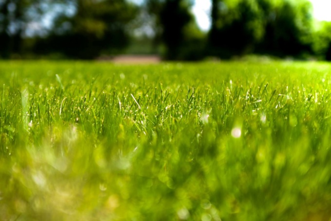 Erba sintetica drenante: quali vantaggi può offrire al tuo giardino?