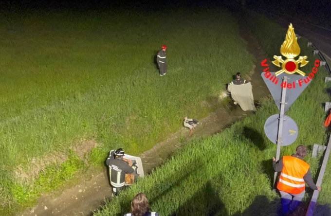 Ferita e in un fossato: una cicogna salvata dai vigili del fuoco