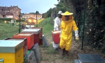Tre nuovi apicoltori grazie al progetto AgriCulture Sociali 3.0