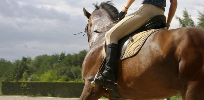 Cade dal cavallo al ranch di Sant’Angelo Lodigiano, 55enne in ospedale