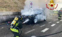 Auto prende fuoco in autostrada a Villanova del Sillaro, l'intervento dei pompieri