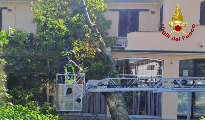 Maltempo nel Lodigiano, albero cade su palazzina: intervengono i Vigili del Fuoco