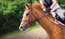 Disarcionata dal cavallo durante l'allenamento a Zelo Buon Perisco, 18enne via in eliambulanza