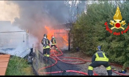 Incendio nel box e deposito in campagna: muoiono carbonizzati sette cani