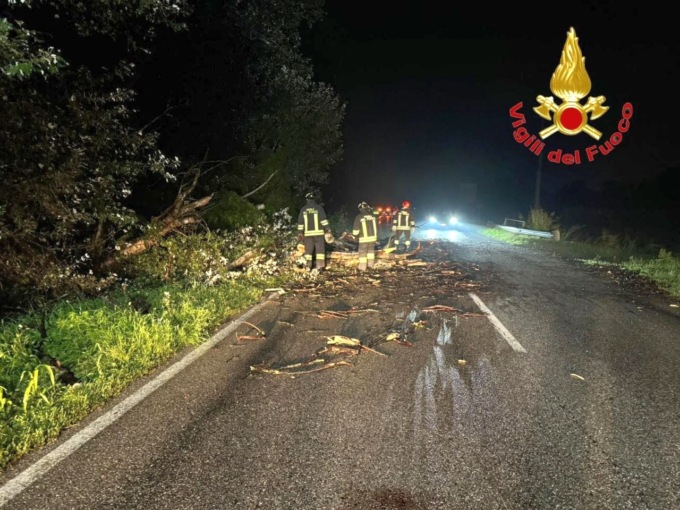 Lungo la strada provinciale 26 alberi schiantati dal vento e dalla pioggia