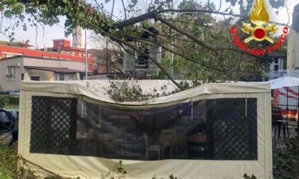 Maltempo a Lodi: un albero si abbatte sul gazebo di un bar, ferita una cliente