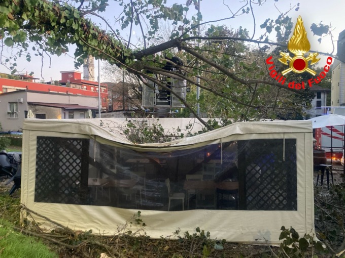 Maltempo a Lodi: un albero si abbatte sul gazebo di un bar, ferita una cliente