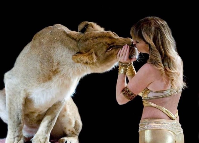 Il Circo Paolo Orfei arriva a Lodi con lo show “Africa, il Regno Animale”