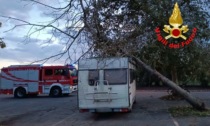 Incidente a Lodi, albero si abbatte su di un camper parcheggiato