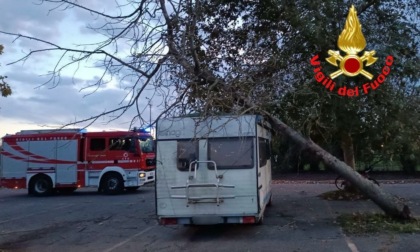 Incidente a Lodi, albero si abbatte su di un camper parcheggiato