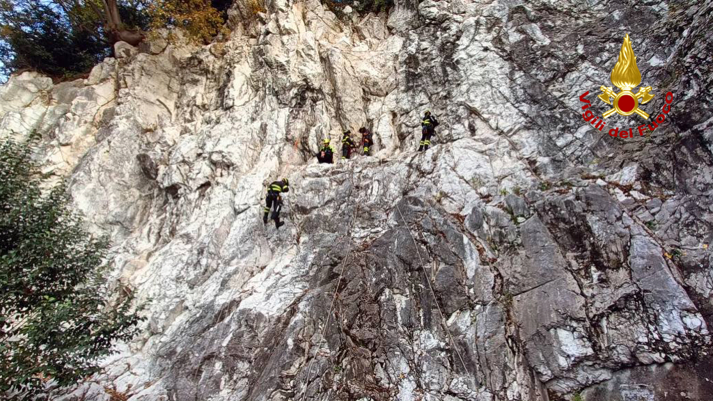 vigili del fuoco lodi e cremona addestramento bergamo (3)