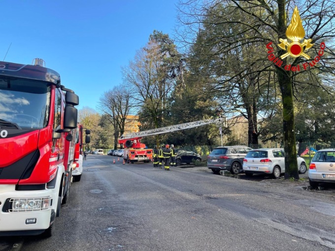Forti raffiche di vento nel Lodigiano: alberi, pali e anche luminarie pericolanti