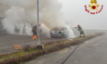 Auto divorata dalle fiamme in via Cartiera, l'intervento dei Vigili del Fuoco