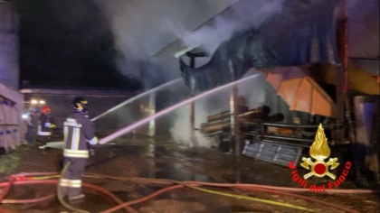 Fiamme nella notte in azienda agricola, a fuoco 300 quintali di fieno: in salvo 120 vitelli