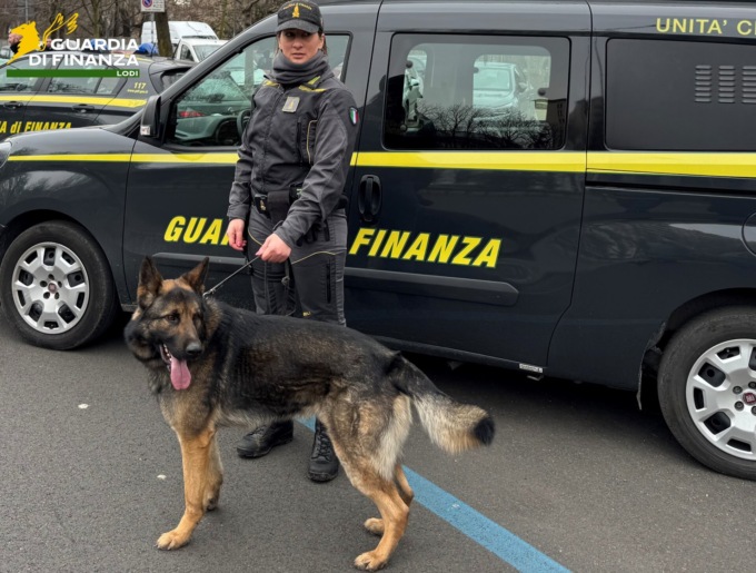 Controlli antidroga, blitz della Guardia di Finanza: l’unità cinofila in azione