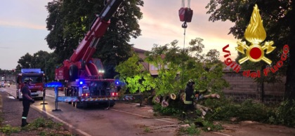 Maltempo nel Lodigiano, Vigili del Fuoco impegnati nei soccorsi e nella rimozione degli alberi