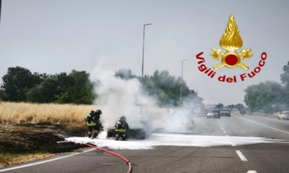 Prende fuoco l'auto che incendia anche il campo: paura lungo la strada provinciale