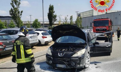 Auto avvolta dalle fiamme sulla SP25, l'intervento dei Vigili del Fuoco