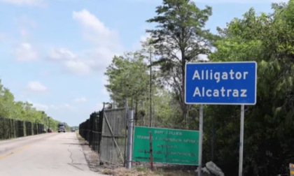Ad Alligator Alcatraz c'è anche un detenuto lodigiano: rientro in Italia previsto per il 5 agosto