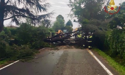 Forte maltempo colpisce il Lodigiano: alberi caduti, tetti danneggiati e strade allagate