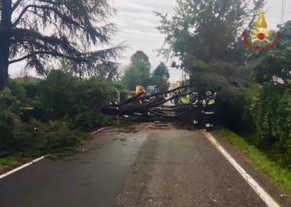 Forte maltempo colpisce il Lodigiano: alberi caduti, tetti danneggiati e strade allagate