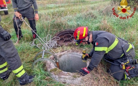 Il video del salvataggio del cane da caccia caduto in un pozzo profondo 7 metri