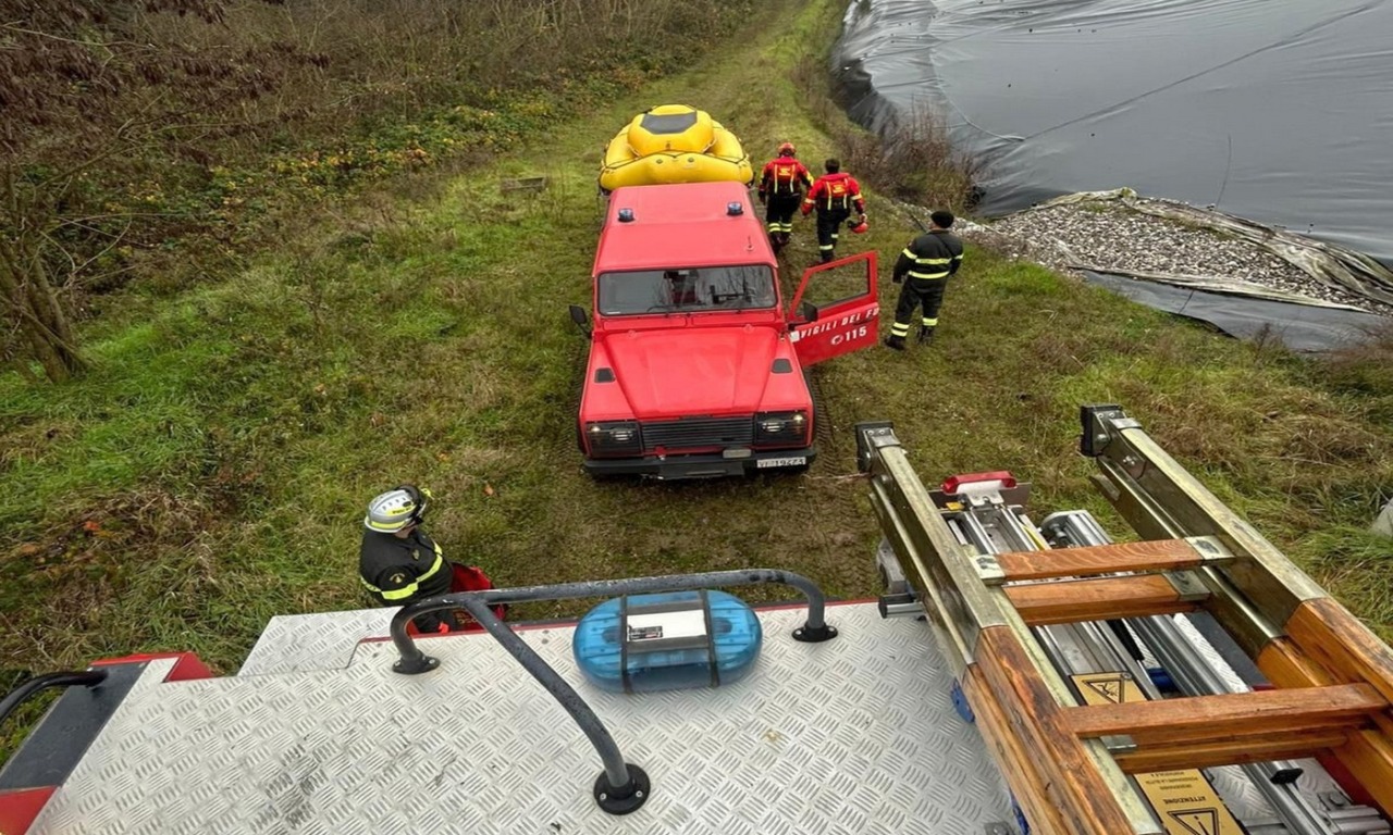Due cani finiscono nella vasca dell’ex discarica: soccorsi e salvati dai vigili del fuoco