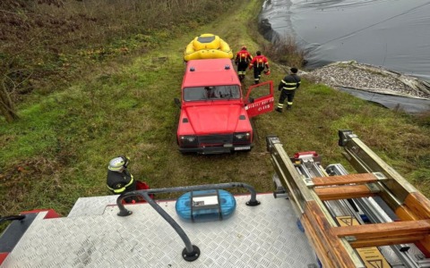 Due cani finiscono nella vasca dell’ex discarica: soccorsi e salvati dai vigili del fuoco