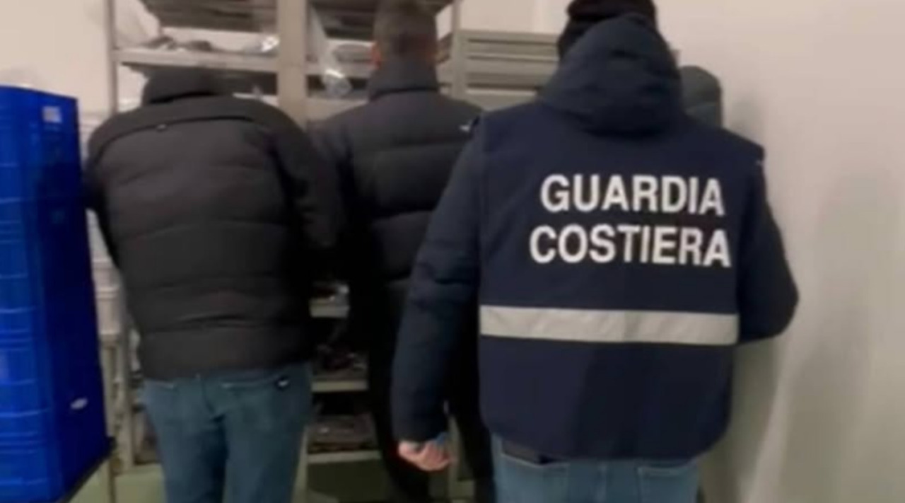 Seppie e calamari scaduti pronti per la vendita: maxi sequestro nel Lodigiano