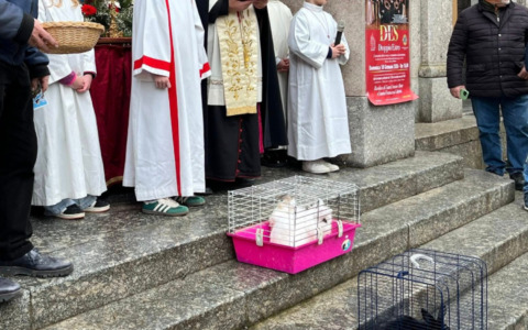 Sant’Angelo Lodigiano celebra il patrono Sant’Antonio Abate con una festa ricca di tradizione e novità